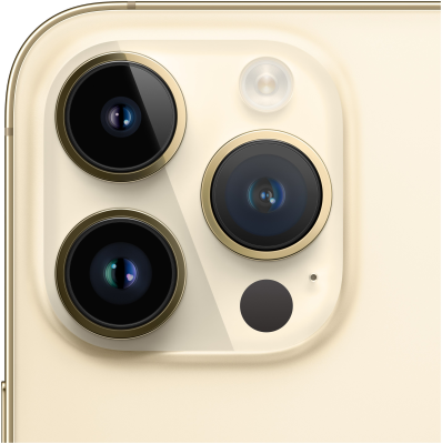 Смартфон Apple iPhone 14 Pro 256Gb (золотой)