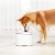 Поилка для животных Xiaomi Petoneer Smart Pet Water Dispenser MI Home (FSW030-M) Поилка для животных Xiaomi Petoneer Smart Pet Water Dispenser MI Home (FSW030-M)