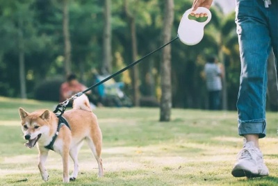 Поводок Xiaomi Jordan Judy Pet Retractable Rope Off-White (PE042)