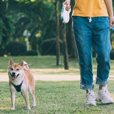 Поводок Xiaomi Jordan Judy Pet Retractable Rope Off-White (PE042)