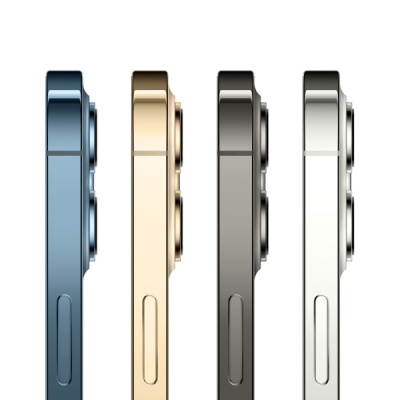 Смартфон Apple iPhone 12 Pro Max 256Gb (серый)