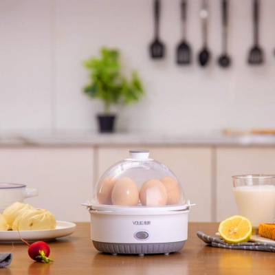 Яйцеварка Xiaomi Youlg YG6000