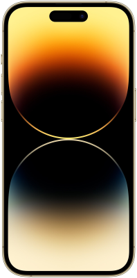 Смартфон Apple iPhone 14 Pro 256Gb (золотой)