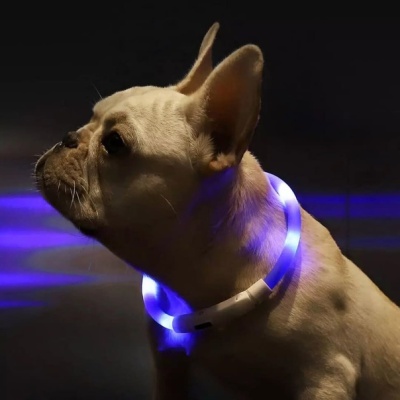 Светящийся ошейник Xiaomi Small Beast Star Pet Collar (XL81-5001)